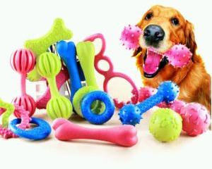 dog toys