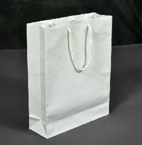 White Top Coated Paper Bags