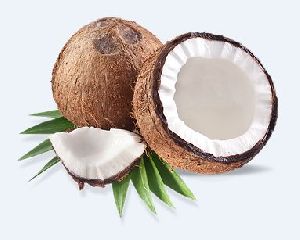 Brown Coconut