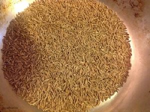 Cumin Seed