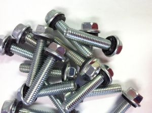 Stainless Steel Bin Bolts