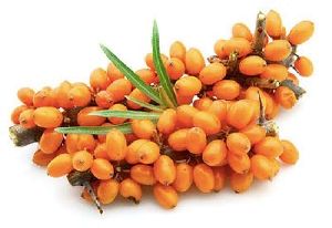 Natural Sea Buckthorn