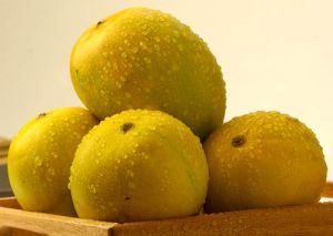 organic kesar mango