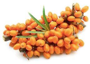 Organic Sea Buckthorn