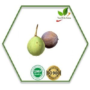 Tamanu Seed Carrier Oil