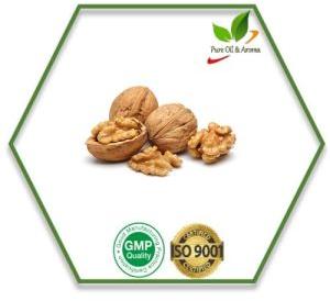 Walnut Carrier Oil