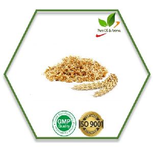 Wheat Germ Oil