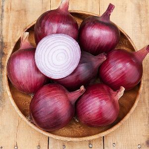 Fresh Big Onion