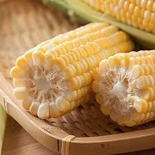 Organic Yellow Corn Seeds
