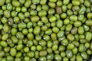 Green Mung Bean