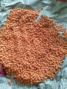 masoor dal (red lentil)