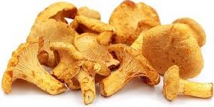 Dried Golden Mushroom