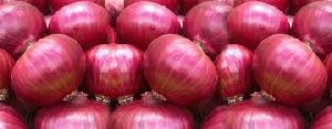 Organic Big Red Onion