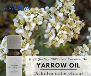 Yarrow Essential Oil