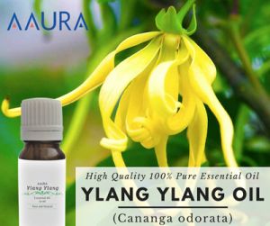 Ylang Ylang Essential Oil