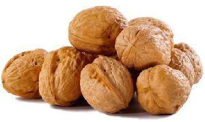 Shelled Walnut