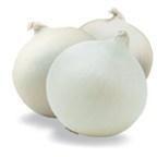 White Onion Powder