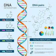 Scientific Charts