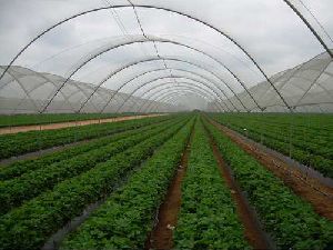 agricultural shade nets