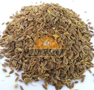 Soya Seeds