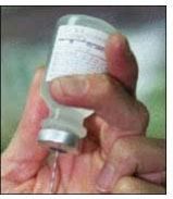 pharmaceuticals rubber stopper