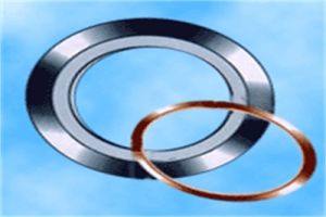 Spiral Wound Gasket