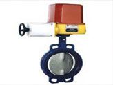 Butterfly Valves