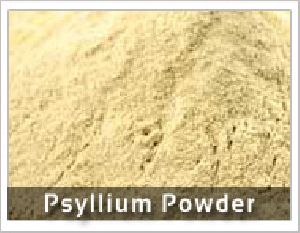 Psyllium Husk Powder