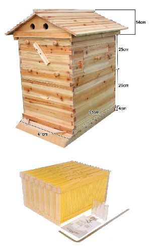 Honey Beehive Box