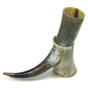 Long Natural Drinking Horn / Viking Drinking Horn / Buffalo Horn Polished