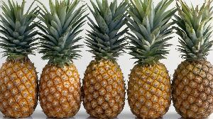 Fresh Pineapple