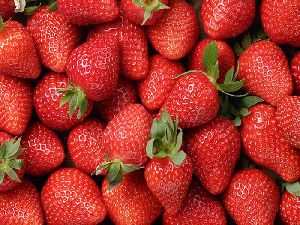 Fresh Strawberry