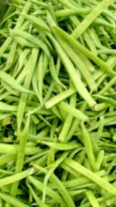 vegetable beans