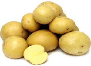 pukhraj potato