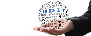 Audit Assignment Services