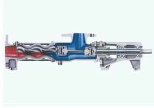 cavity pump