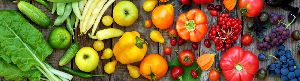 Fresh Vegetables & Fruits