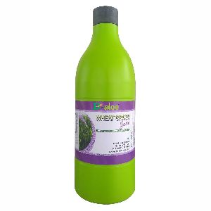 Organic Wheatgrass Juice