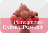 Pomegranate Extract Powder