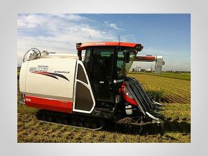 Half Feeding Combine Harvester