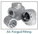 Forged Fittings