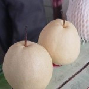 Pears