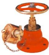 Landing Valves