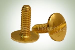 Brass Screw