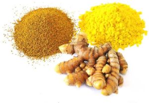 Turmeric Curcuma longa Extract