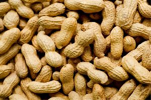 Inshell Peanuts