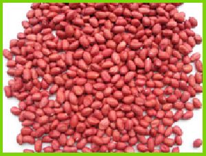 Groundnuts