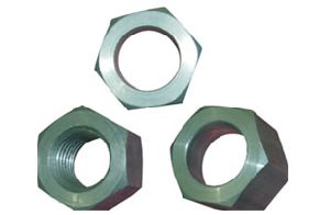 Hex Nuts