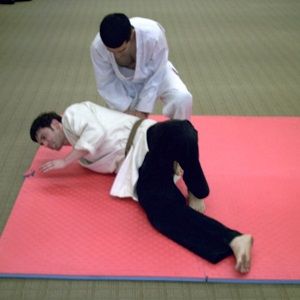 Hapkido Mats