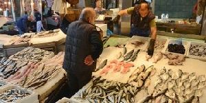 Seafood Cold Storage Room